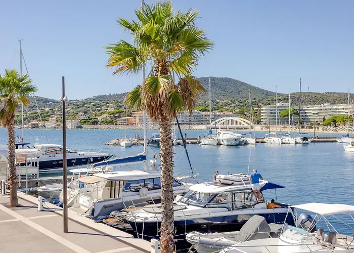 Les Coteaux Du Preconil-5 By Interhome Apartment Sainte-Maxime